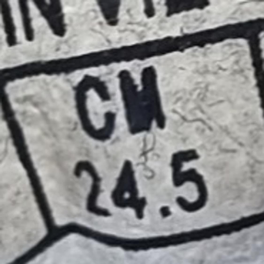 반스 서피스 스니커즈 245 상품이미지6