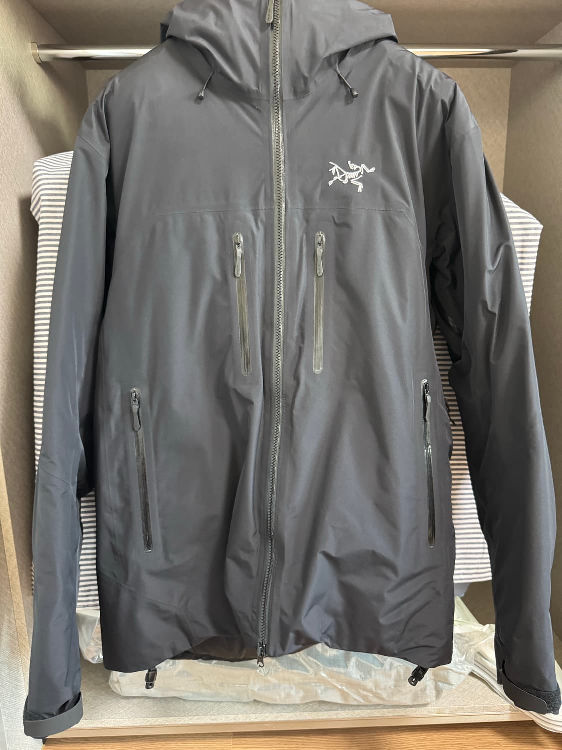 [L] 아크테릭스 베타 인슐레이트 다운 블랙 상품이미지2