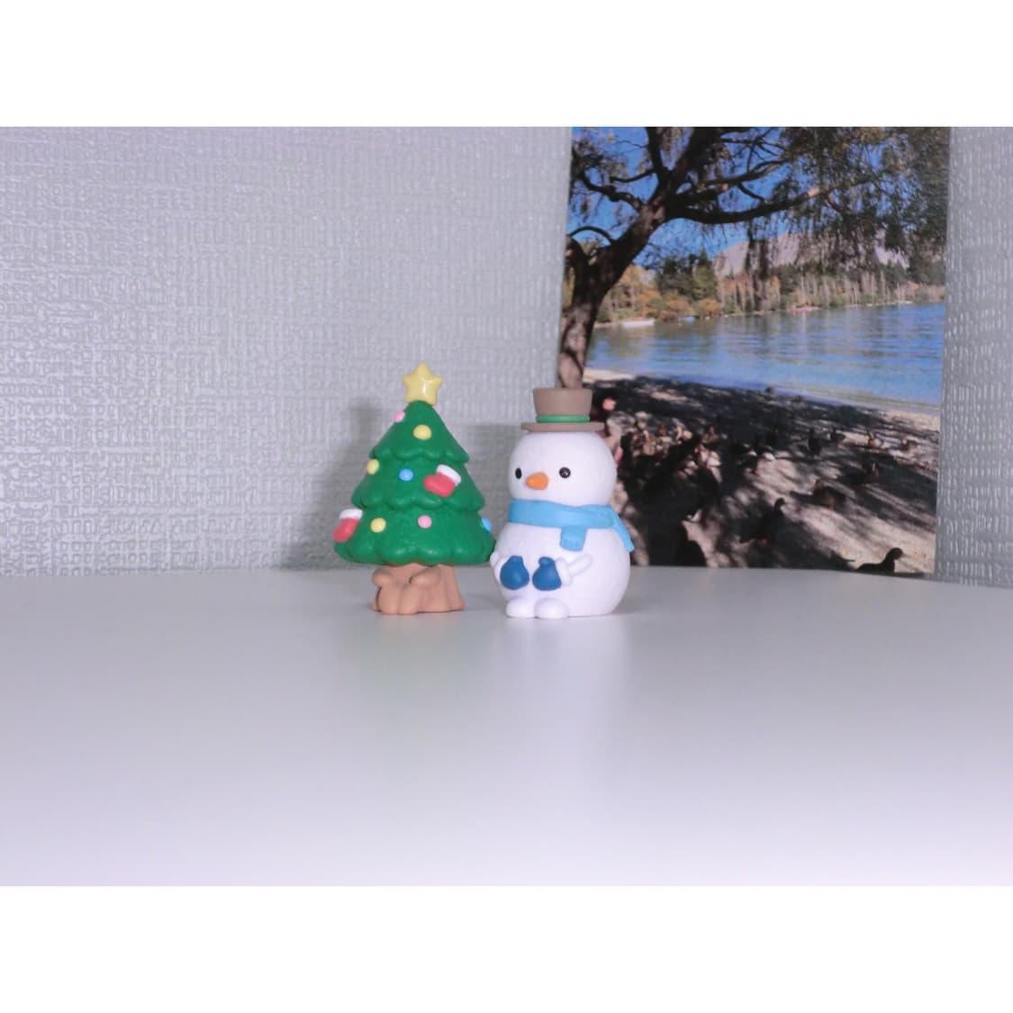 카시오 엑슬림 Z800 베이비핑크 빈티지디카 상품이미지6