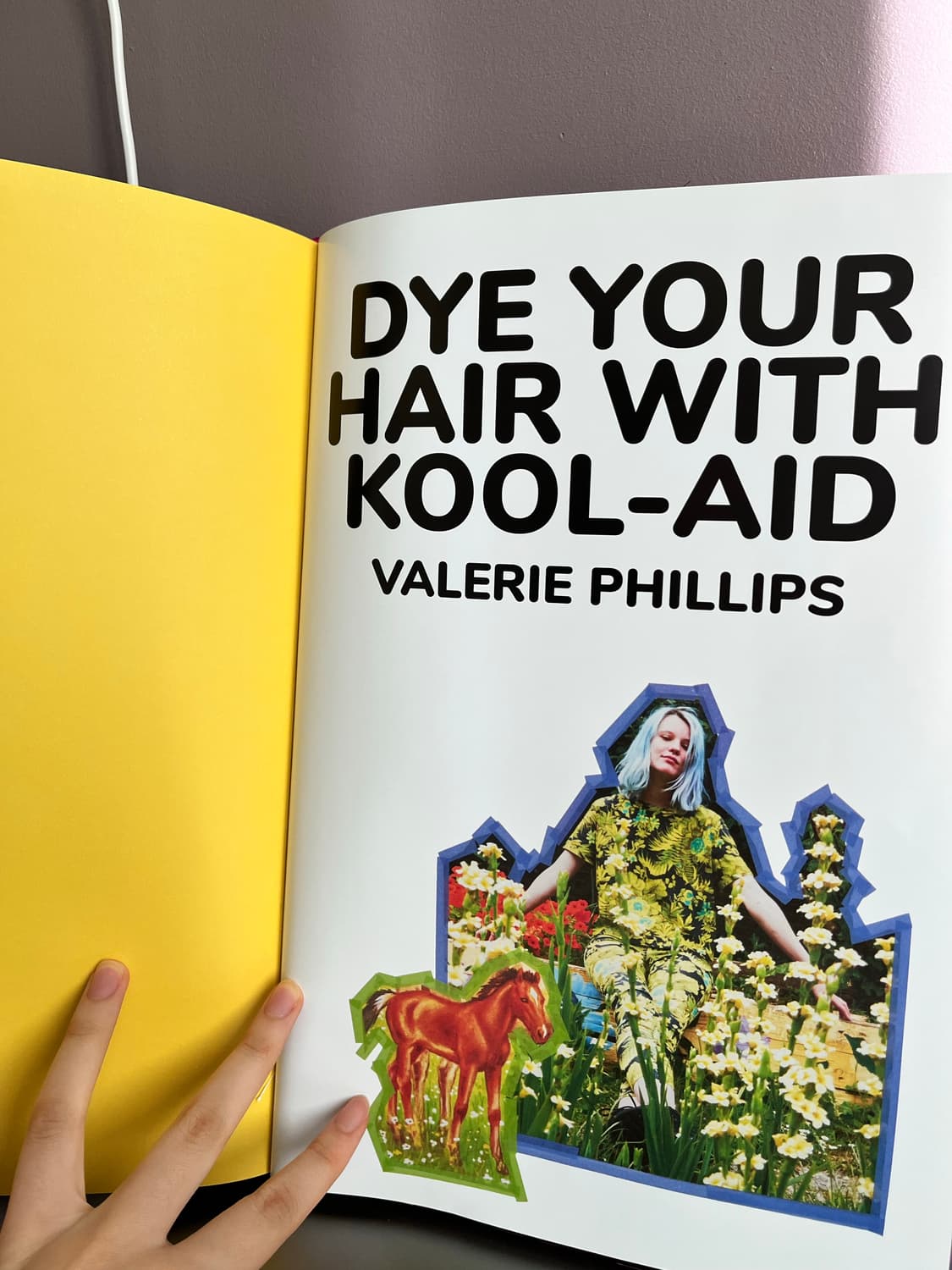 DYE YOUR HAIR WITH Kool-Aid 포토북 상품이미지3