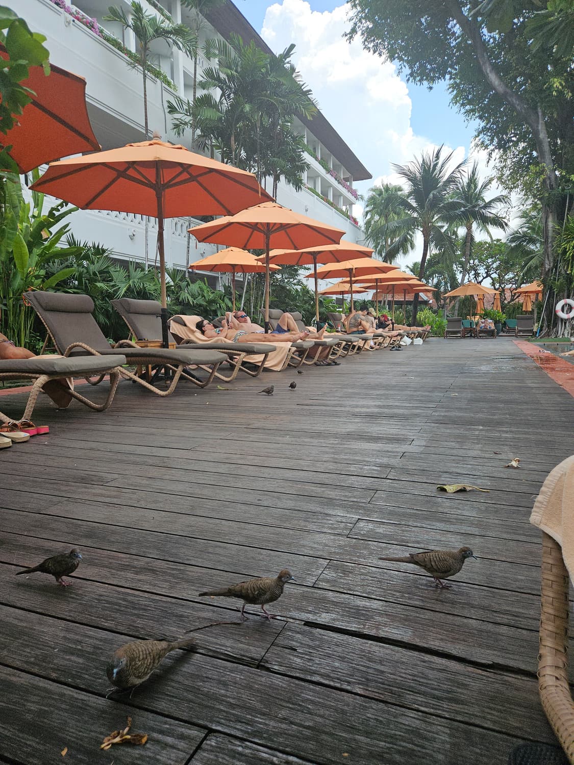 Martin dog 님 개인결제창 상품이미지1