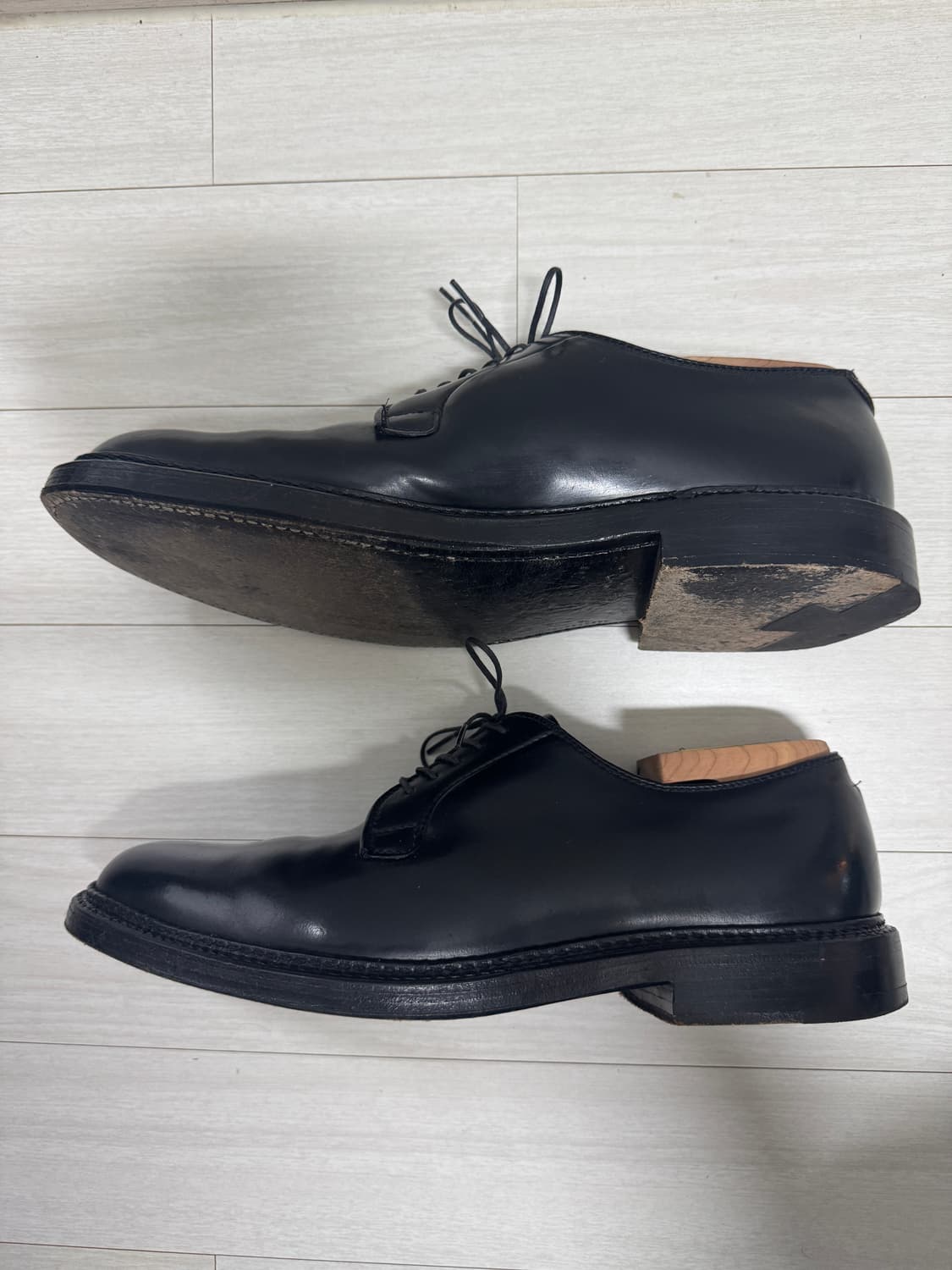 [9D] ALDEN 알든 9901 상품이미지3