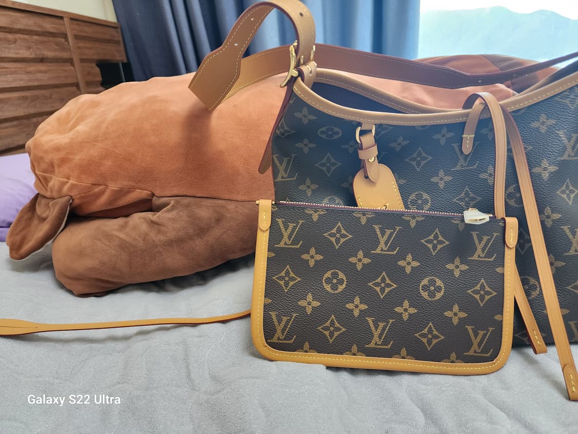 루이비통 캐리온 pm  상품이미지2