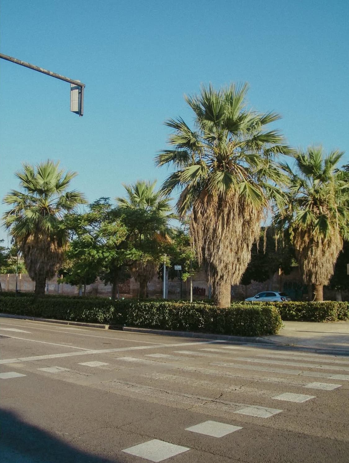 카시오 엑실림 ex z55 디지털카메라 상품이미지10