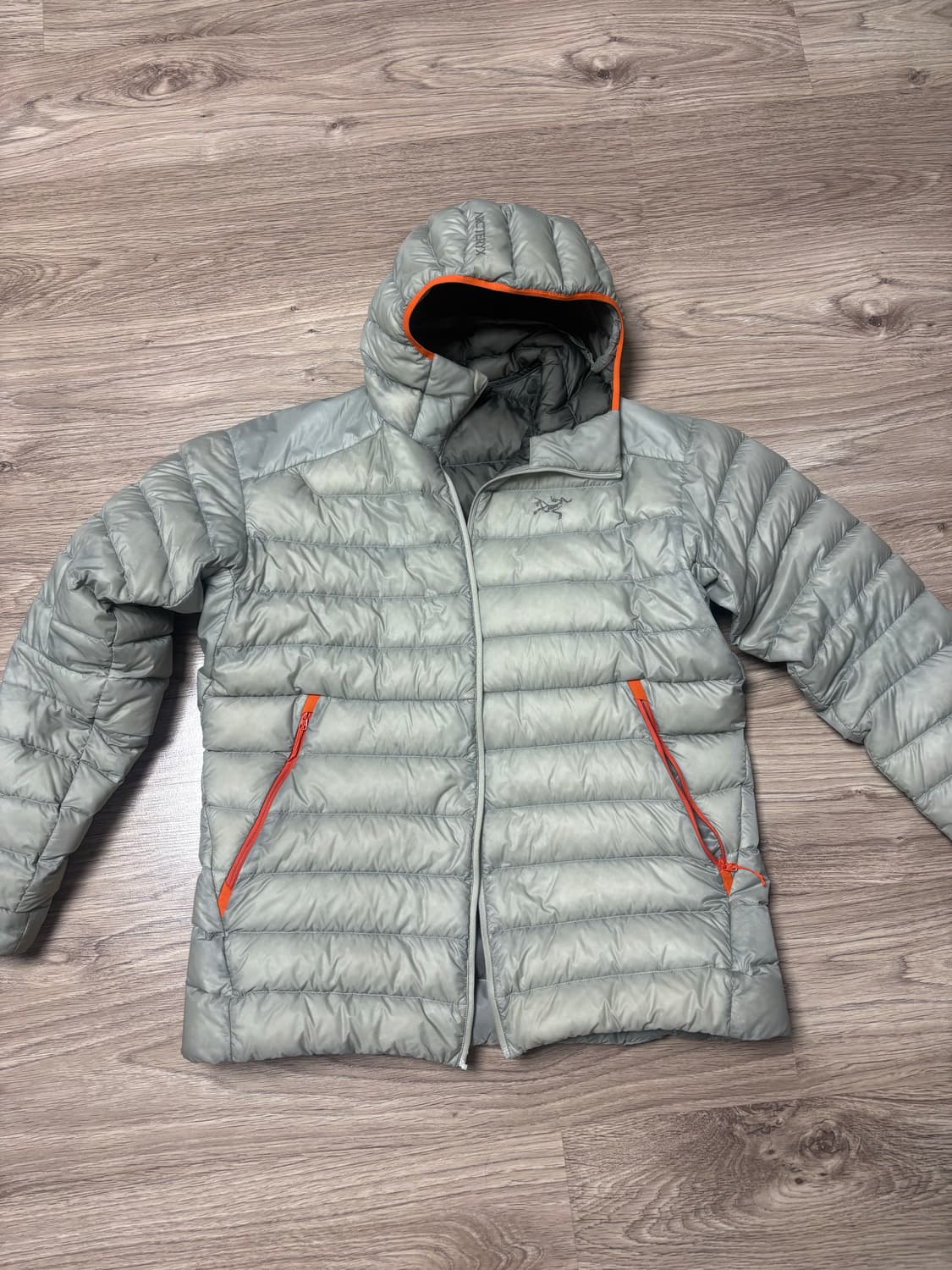 아크테릭스 세륨 해비타트(헤비타트) 후디 상품이미지1