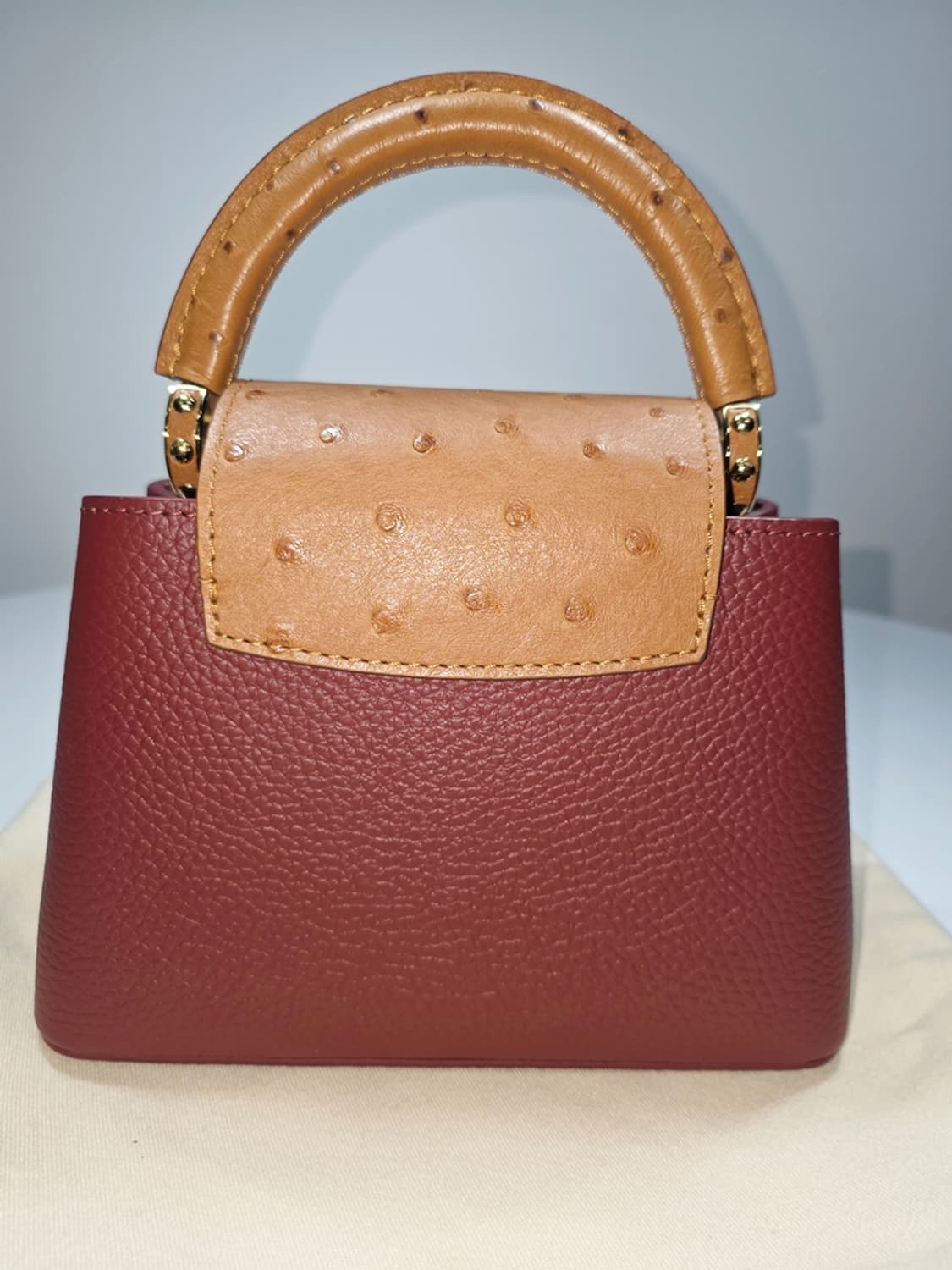 루이비통 카퓌신 미니 오스트리치 N81409 상품이미지5