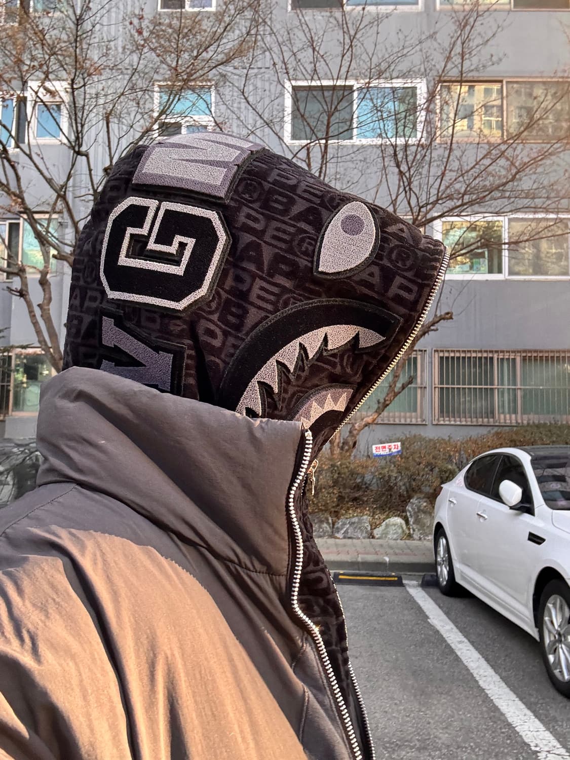 베이프 럭스 스포츠 패턴 샤크 릴렉스드 핏 후드 블랙 상품이미지1