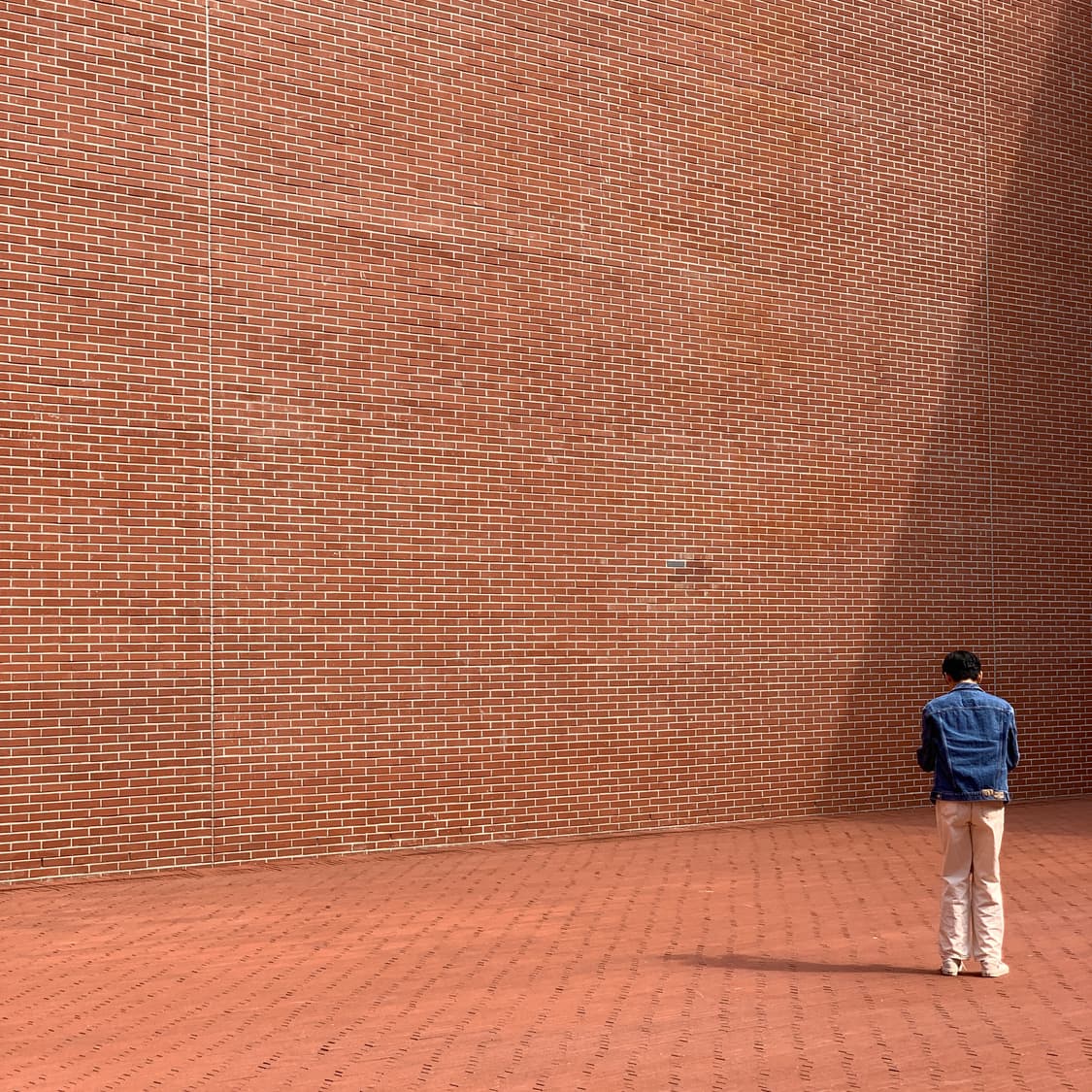 토니웩 3세대 데님 트러커 자켓 상품이미지6