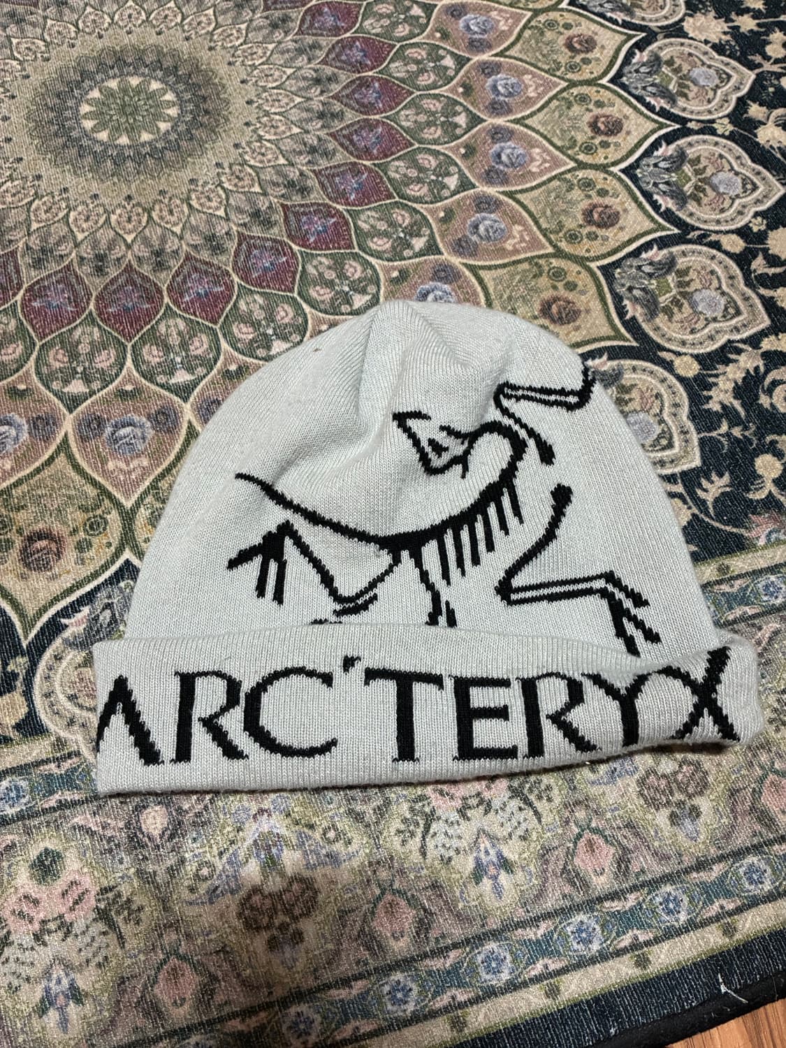 아크테릭스 비니 상품이미지1