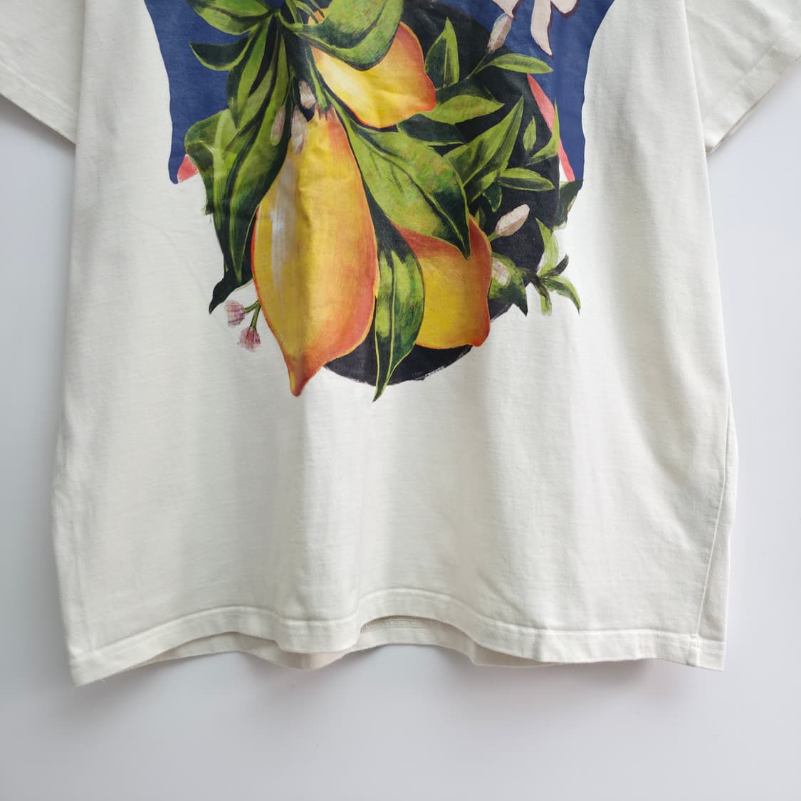 [L] SATUR 세터 프린팅 반팔 상품이미지3