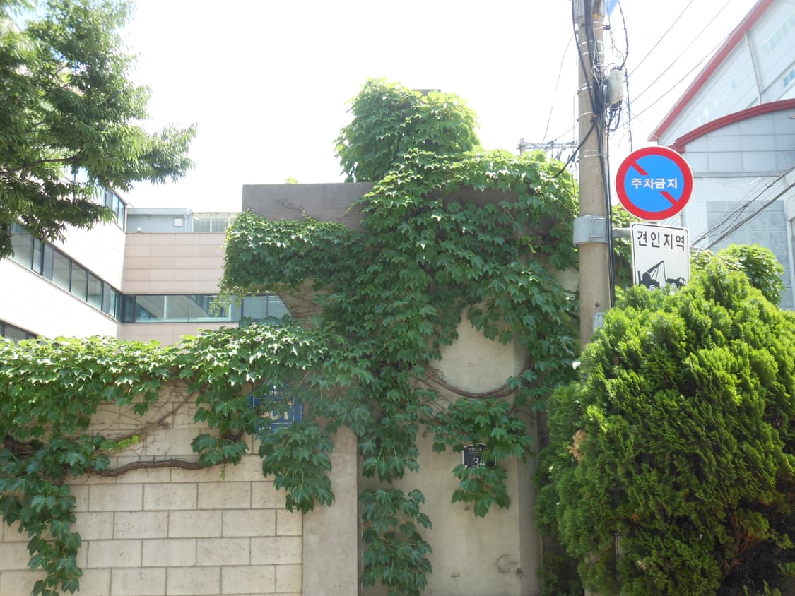 작례⭕️니콘  Nikon CoolPix S6200 빈티지디카 상품이미지9
