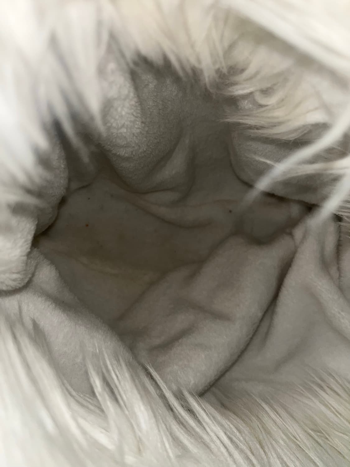 베이비메탈클럽 베메클 샤기백 화이트 상품이미지5