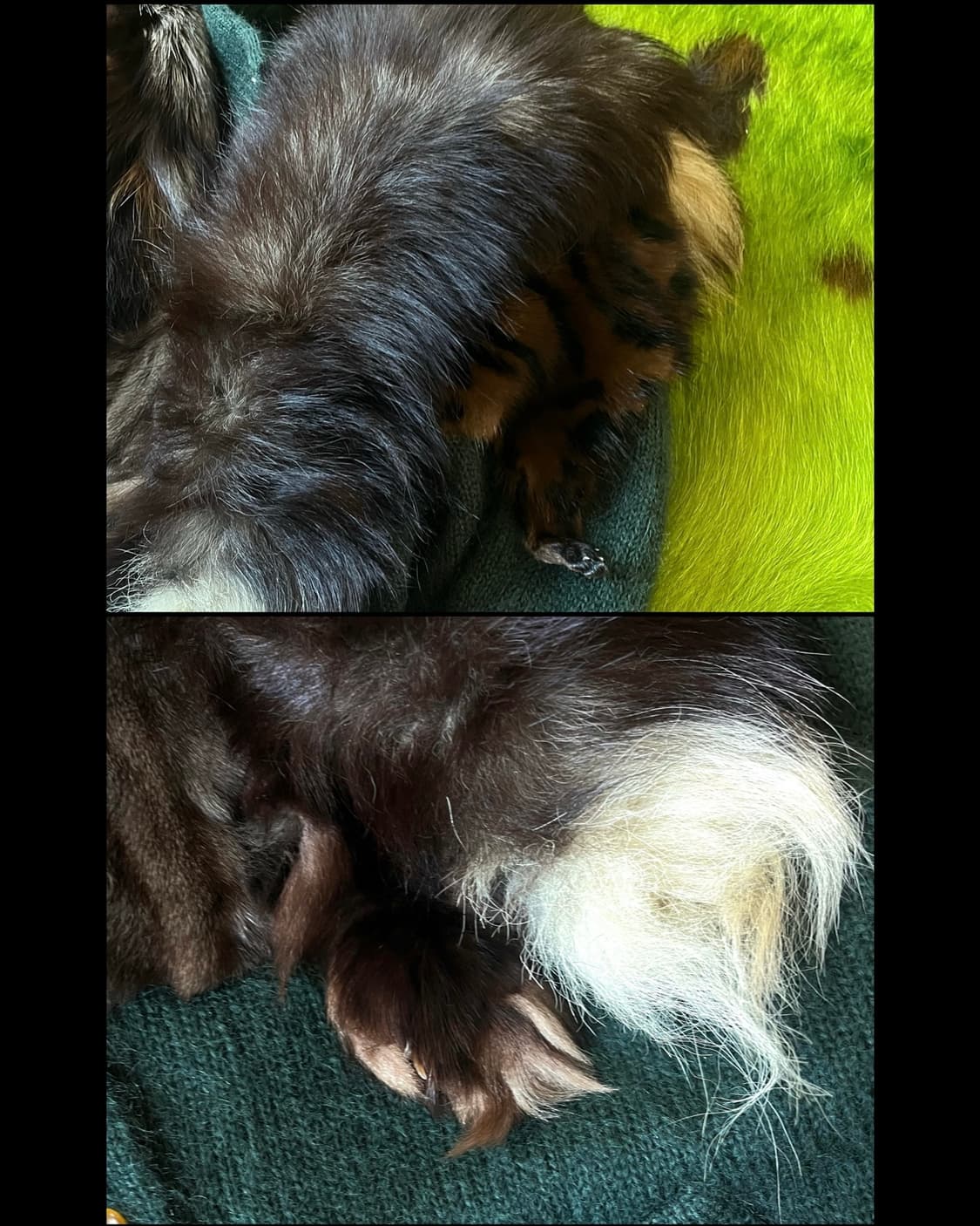 G.K 伊太利喜 Archive Real Fox Mohair Jacket 상품이미지7