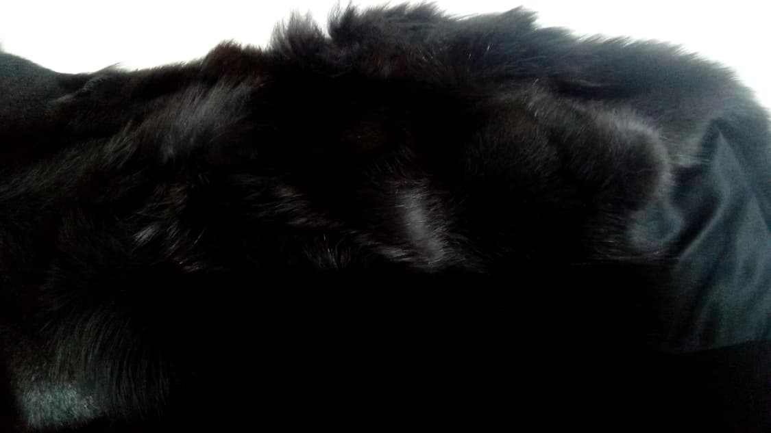 올리비아 허슬러 폭스퍼 베스트 상품이미지7