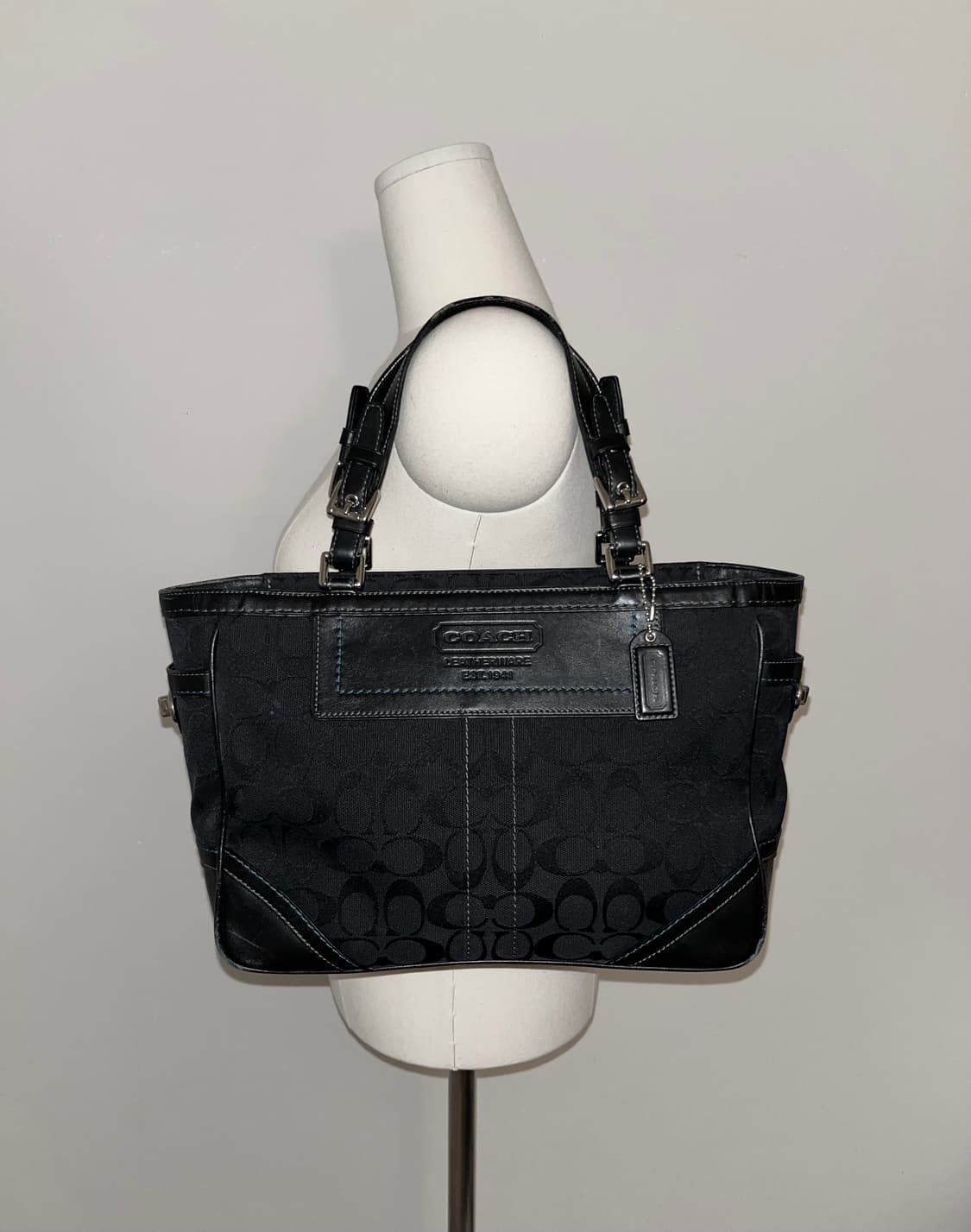 📦 Coach baby blue stitch Shoulder Bag 상품이미지1