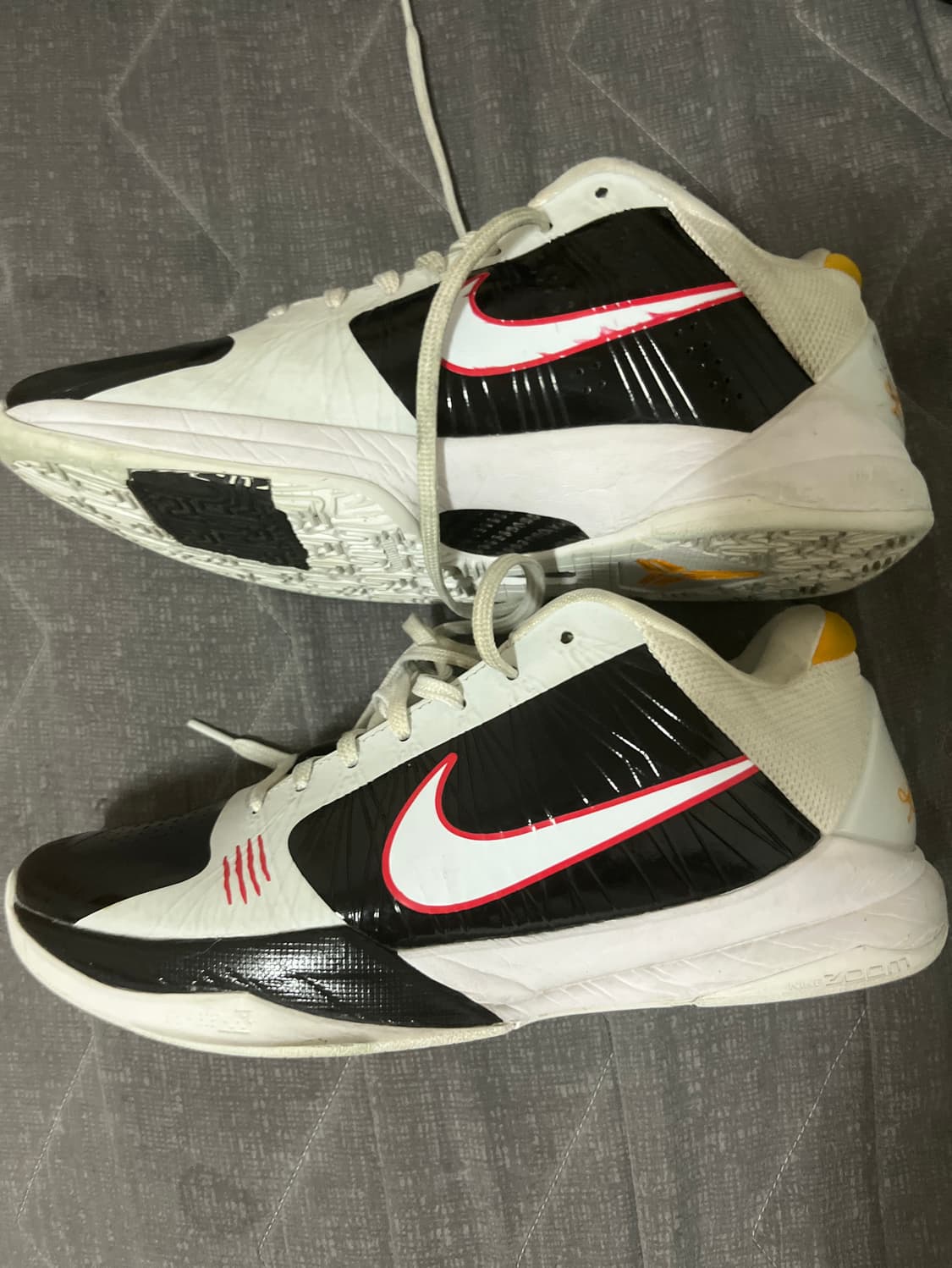 (275) 코비 5 얼터네이트 브루스 리 kobe 5 상품이미지2