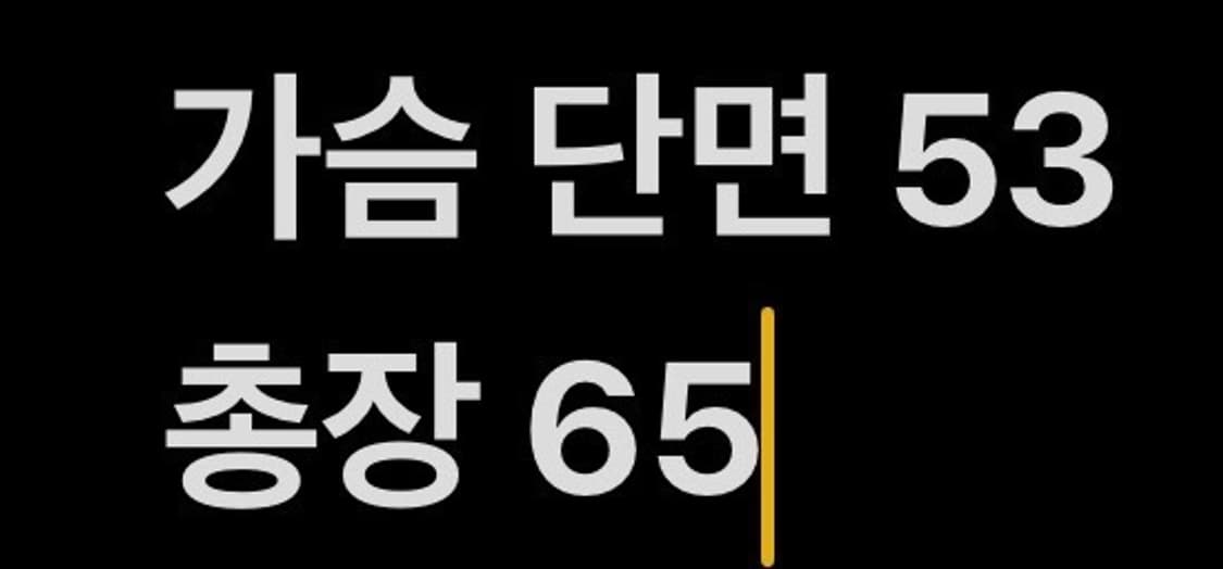 [정품/M] 아디다스 유틸리티 패딩 베스트 b16 상품이미지7