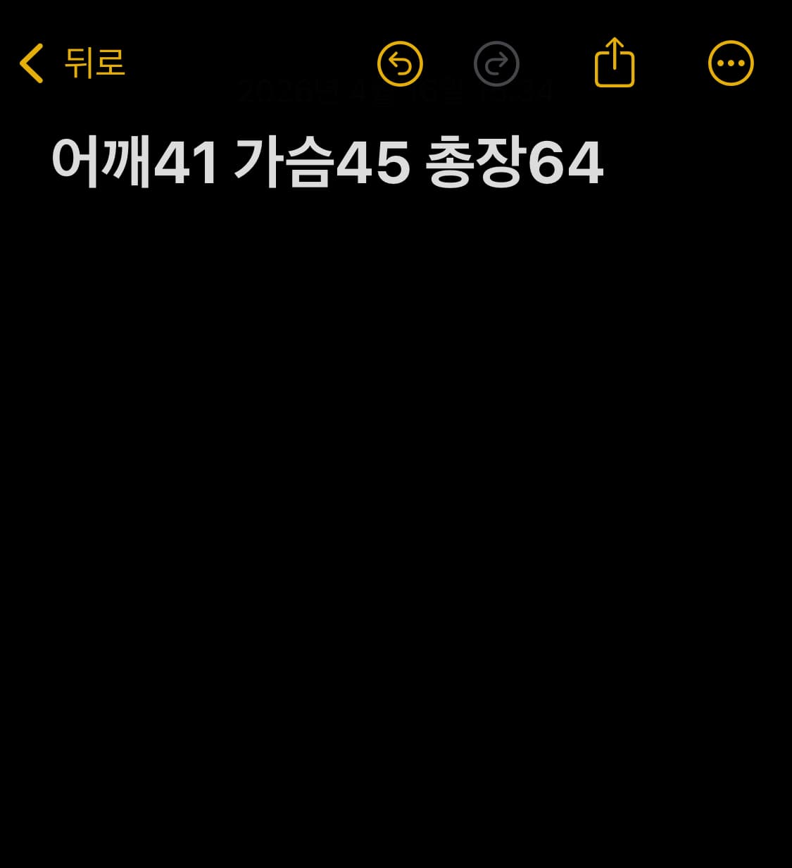 Iron Maiden 밴드티 상품이미지6