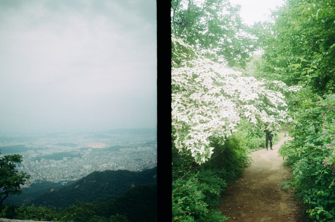 olympus pen ee2 하프카메라 상품이미지7