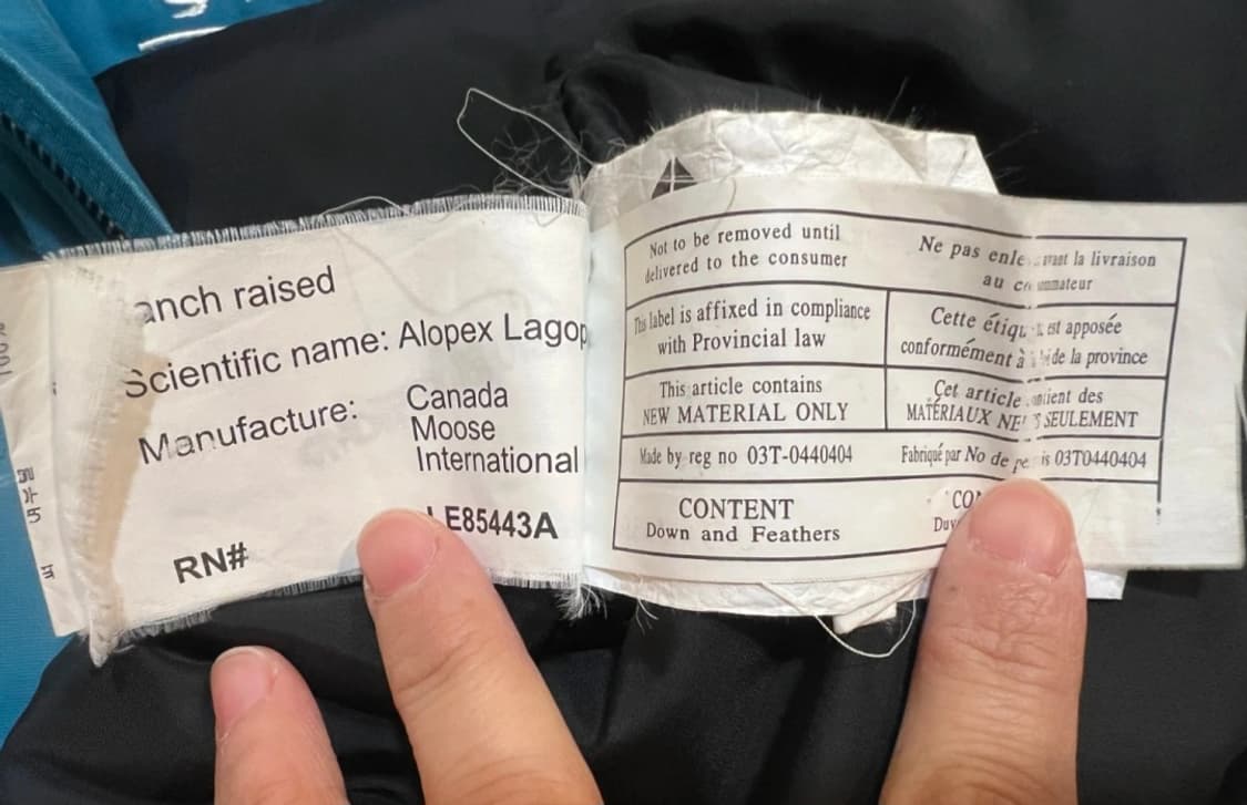 무스너클 캐나다 남성 청록 후드 덕다운패딩  상품이미지8