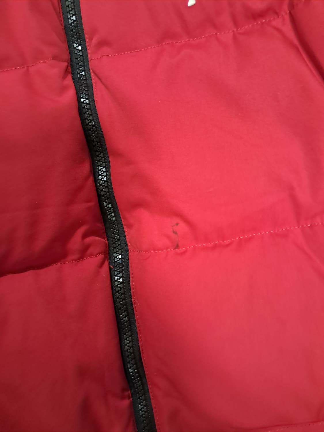 폴로 빅포니 패딩 상품이미지6