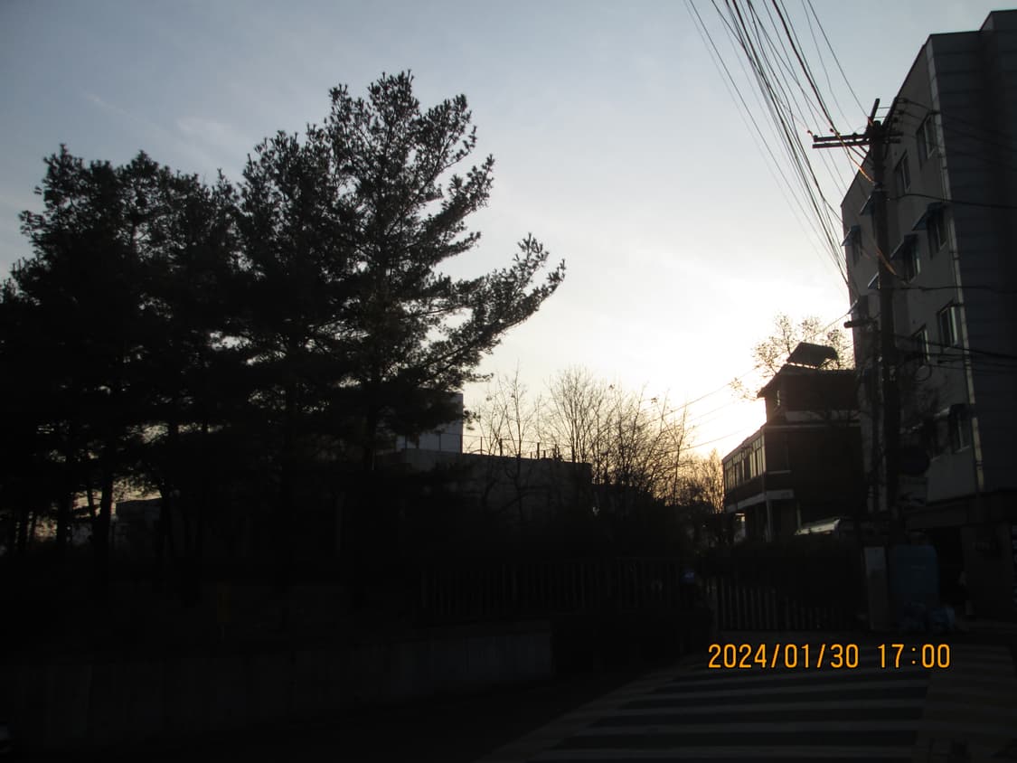 캐논 파워샷 A2500 디카 (빈티지 카메라) 상품이미지10