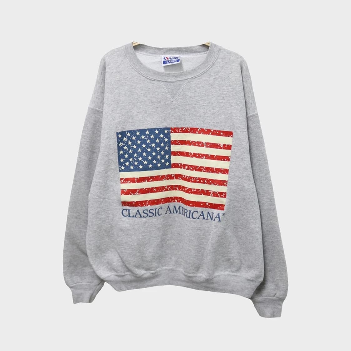 90'S 헤인즈 크랙 프린팅 맨투맨 61691 상품이미지1