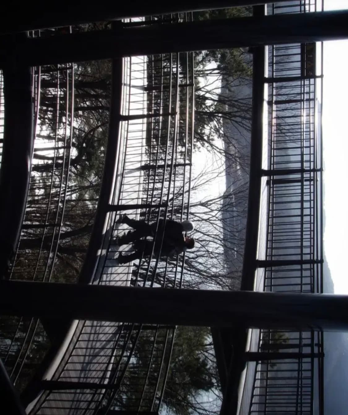 삼성 케녹스 #1  디지털 카메라 (( 작례 상품이미지9