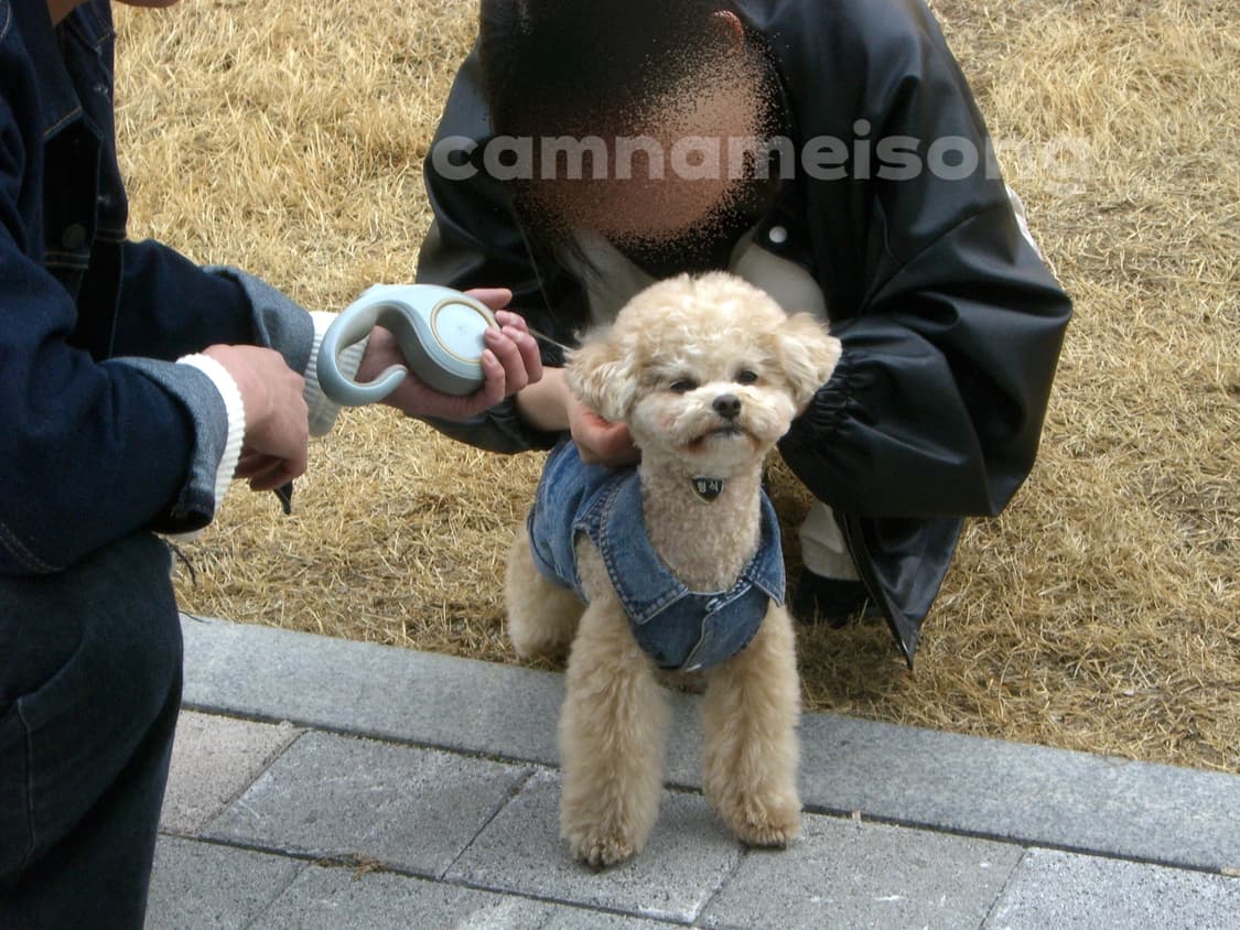 [미품/풀세트/뽀용☁️] 카시오 ex-s600 (작례O) 상품이미지8