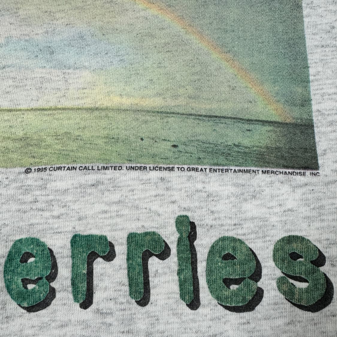 빈티지 90s The Cranberries 크랜베리스 밴드 티셔츠 상품이미지4