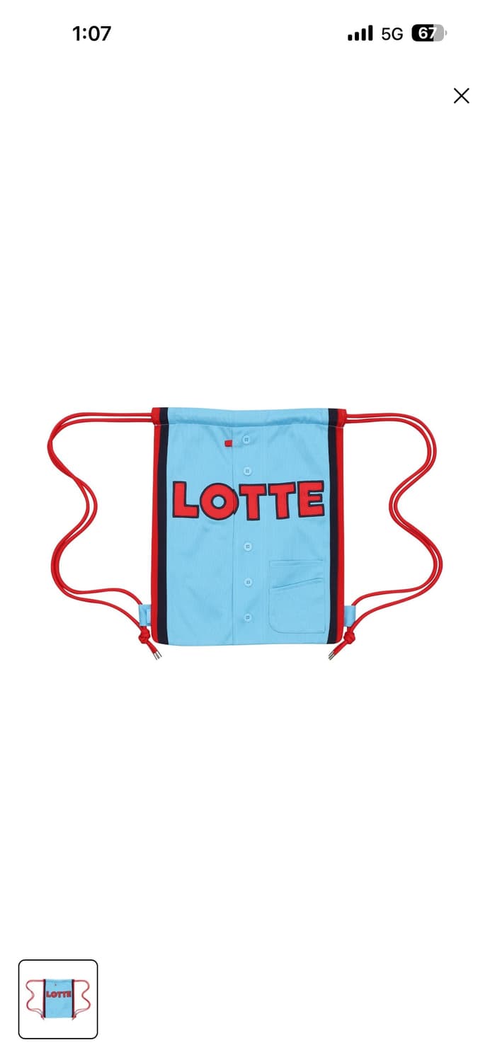 롯데 챔피언 짐색 팝니다. 상품이미지2