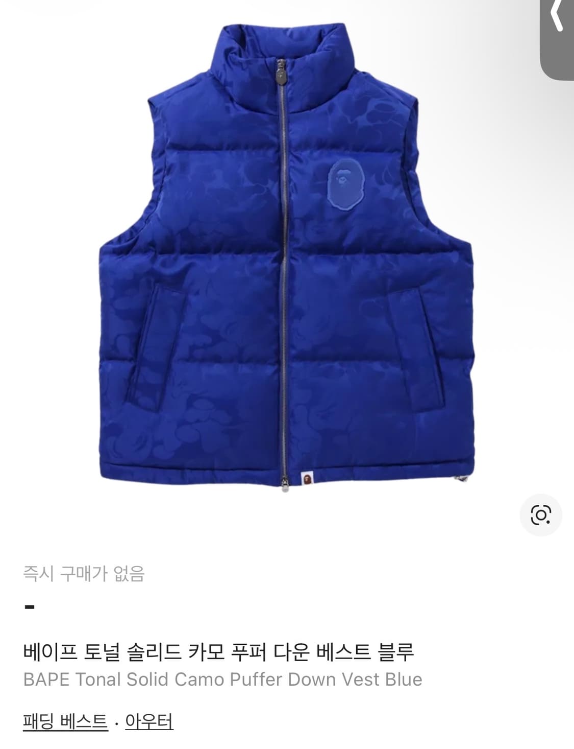 베이프 토널 솔리드 카모 푸퍼 다운 베스트 상품이미지1