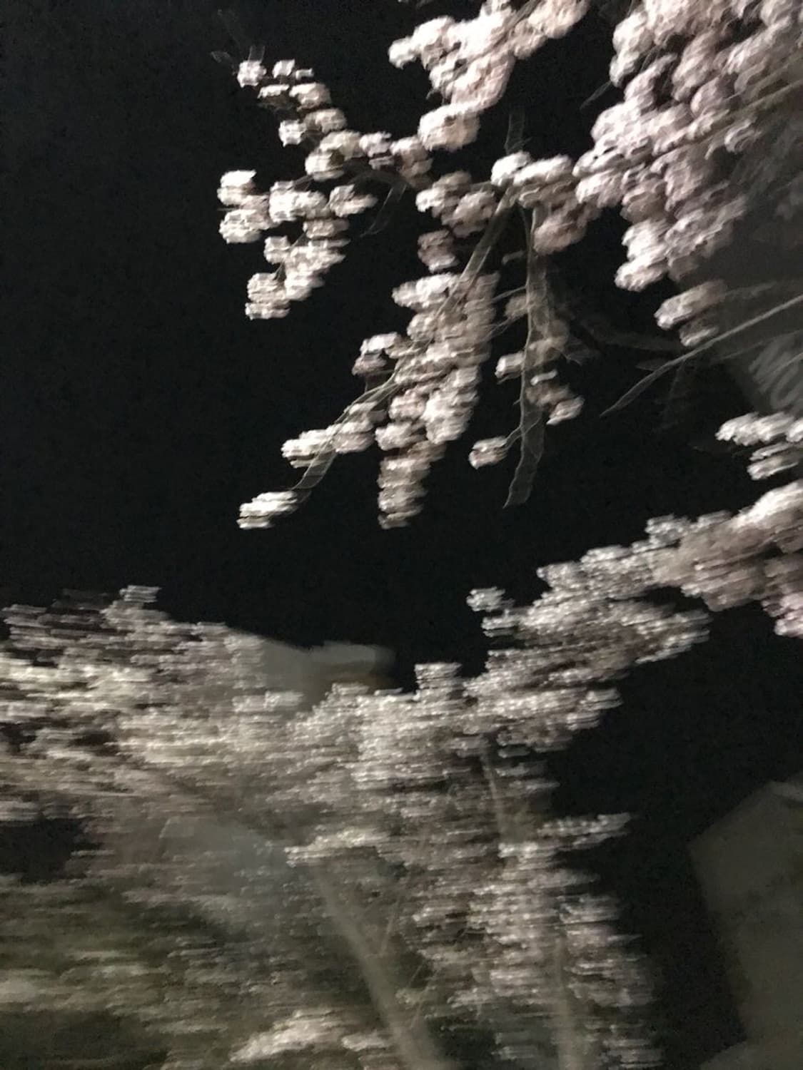 데님티어스 데저트스톰 스웻팬츠 L 상품이미지2