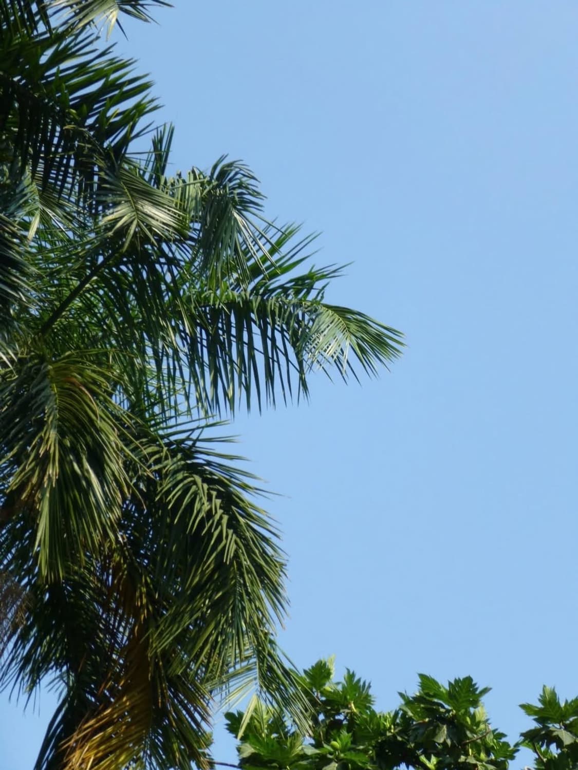 Panasonic Lumix SZ7 루믹스sz7 상품이미지4