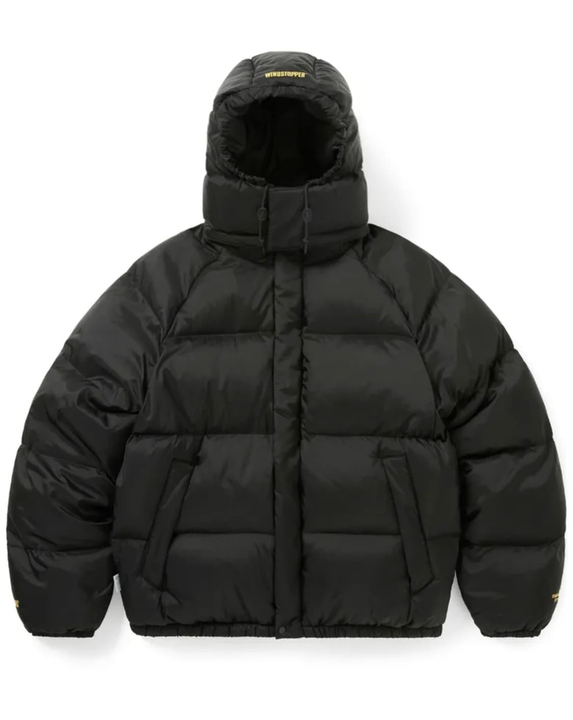 [L] 디네댓 x 고어텍스 윈드스토퍼 푸퍼 패딩 25FW 상품이미지1