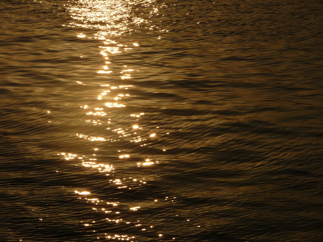 [라이카 렌즈] 파나소닉 루믹스 Panasonic dmc TZ5 디카 상품이미지3