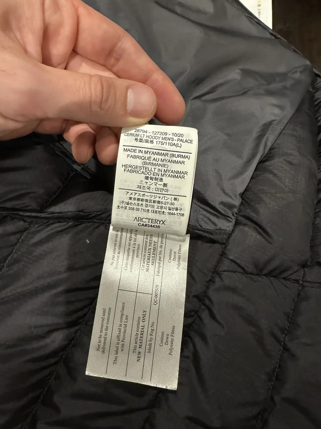 L 아크테릭스 x 팔라스 세륨 LT 후디 패딩 자켓 상품이미지6