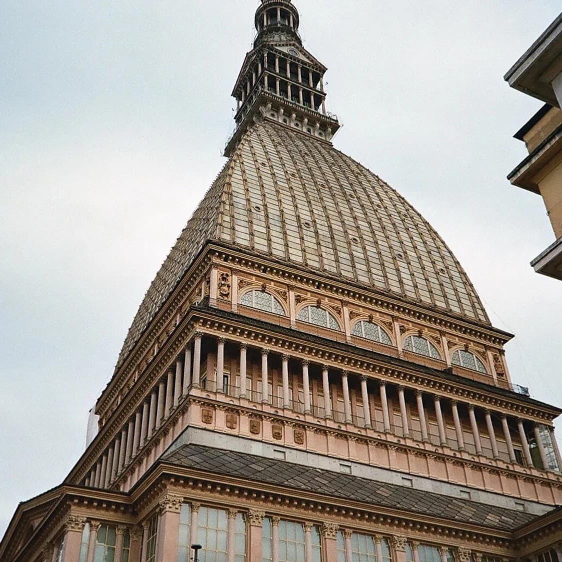 캐논 프리마 미니2 필름 카메라 (빈티지 카메라) 상품이미지6