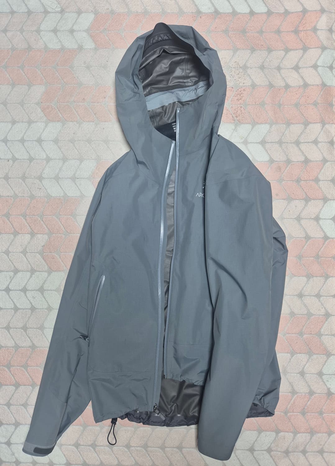 아크테릭스 제타sl 마이크로칩  상품이미지1