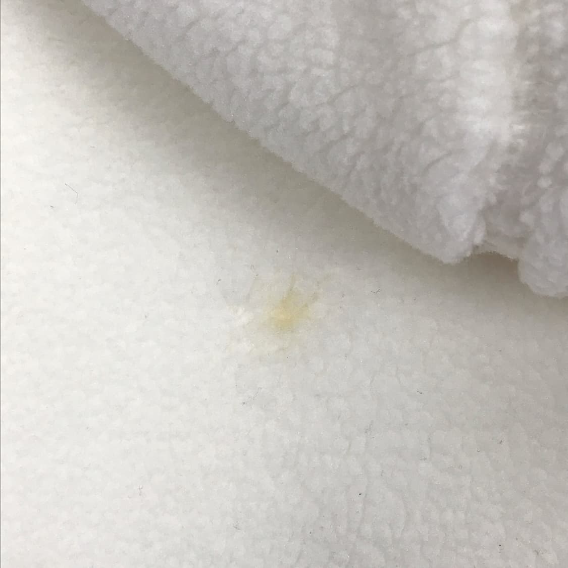 내셔널지오그래픽 뽀글이 후리스 후드집업 점퍼 남성M (95) 상품이미지6