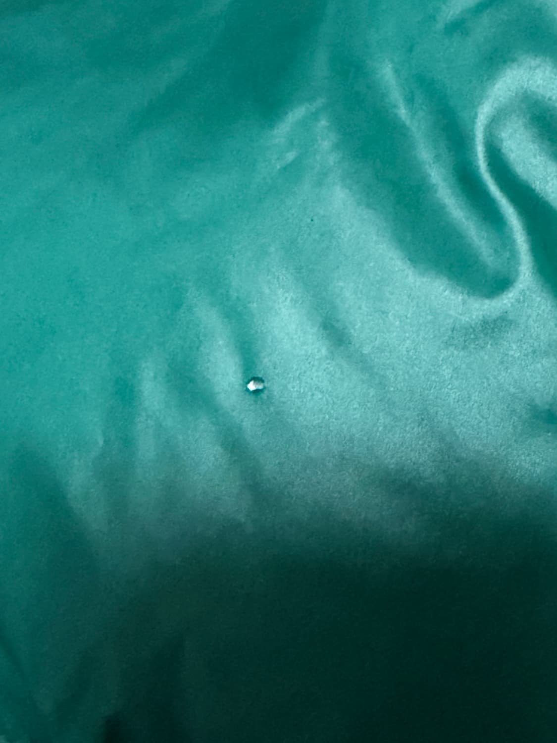 프라다 나일론 로고 패딩 90 xs 상품이미지4