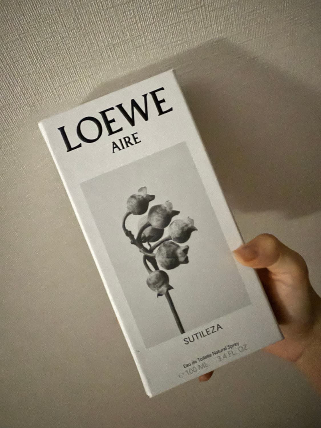 로에베 수틸레사 상품이미지2