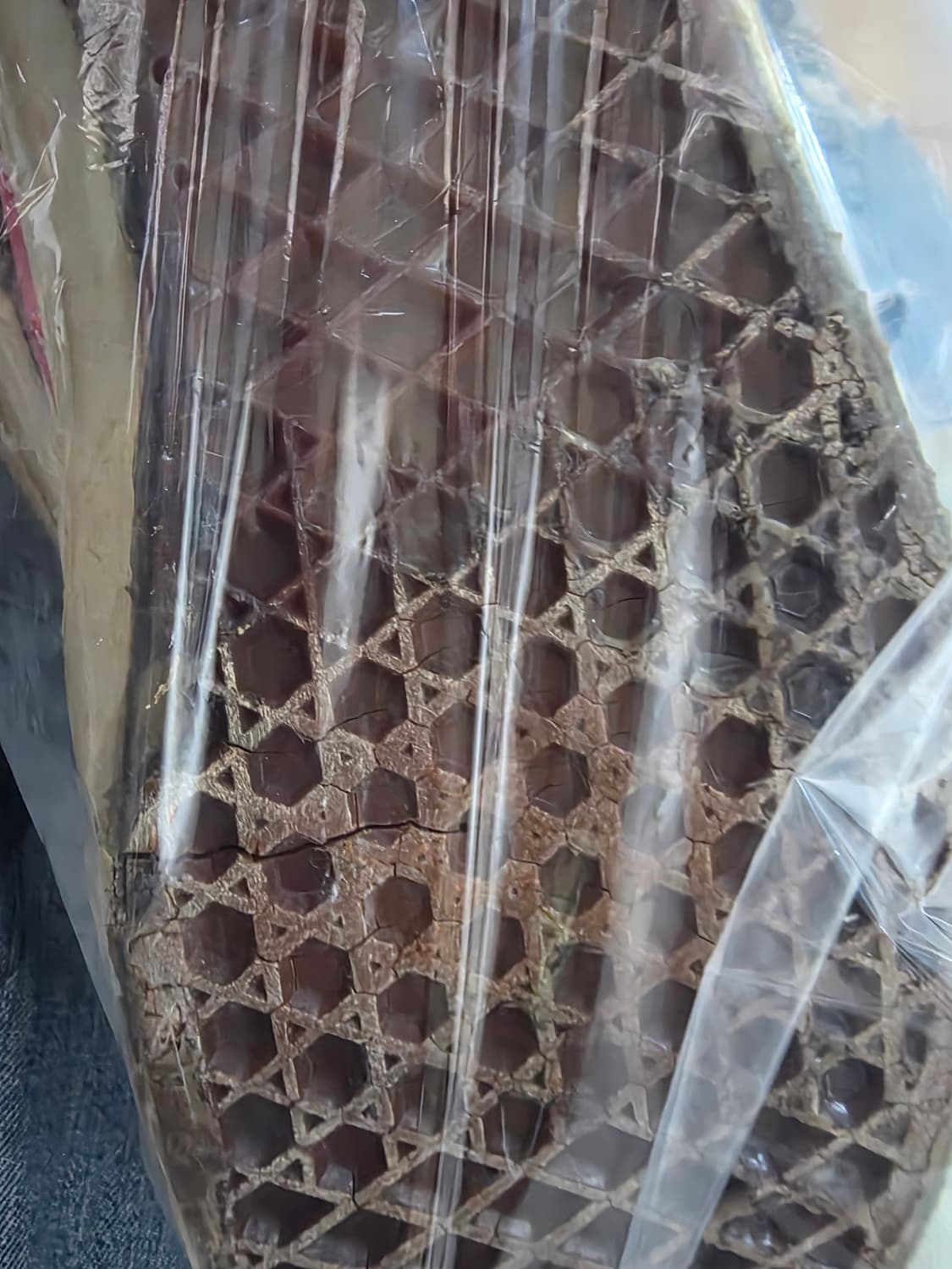 2세트) 빈티지 반스 더블탭스 한정판 야자수 280 90s usa 컨버스 상품이미지3