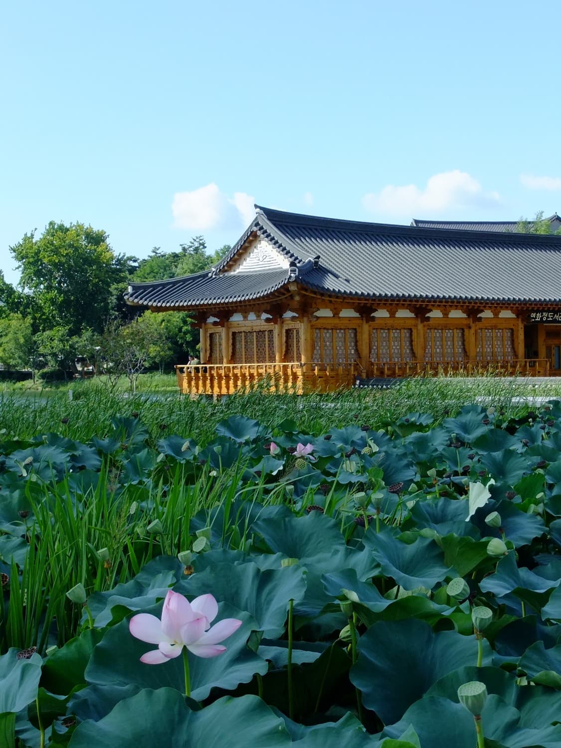작례⭕️)후지필름 파인픽스f70exr 실버 원희 디카 상품이미지6