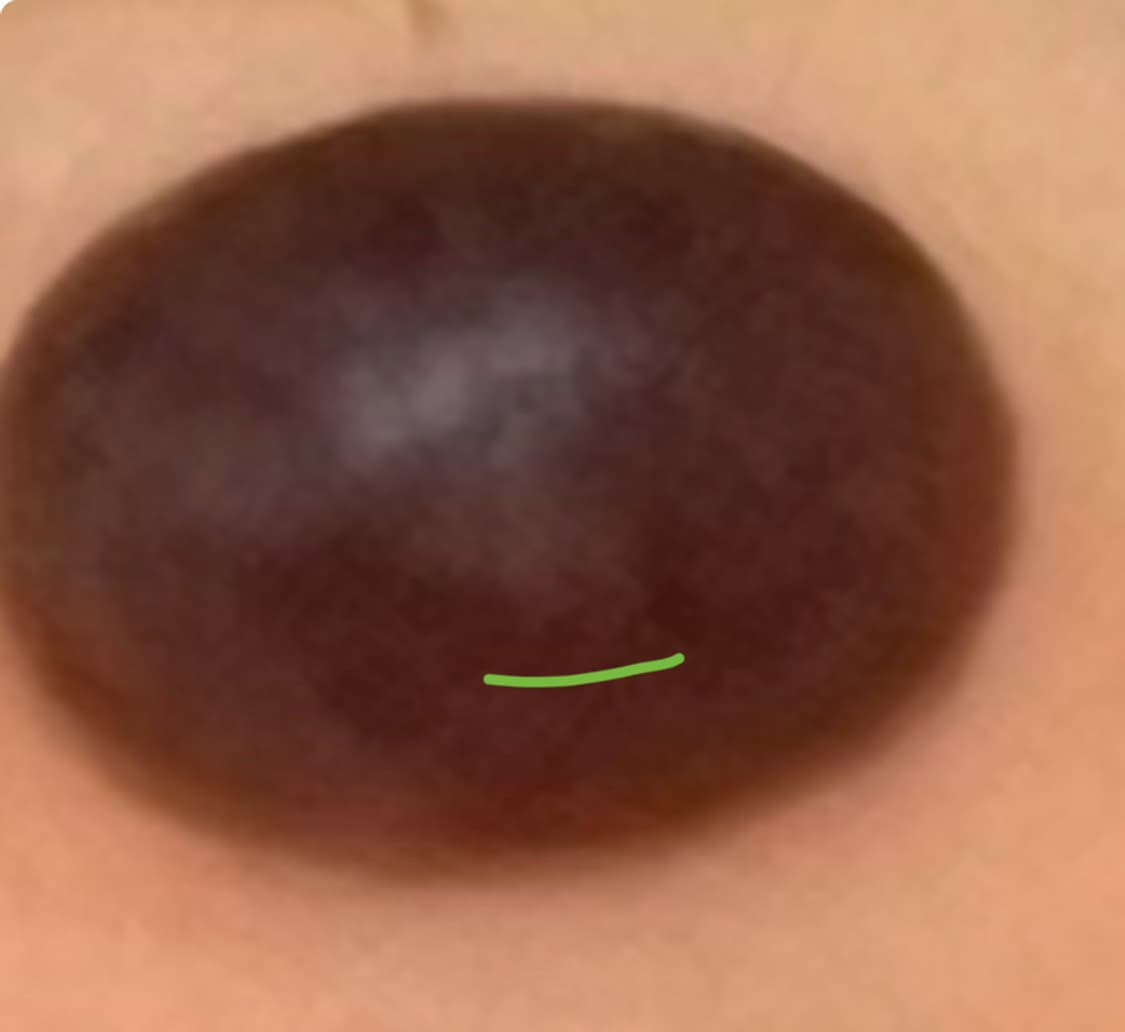 별자리 몬치치 키링 상품이미지3