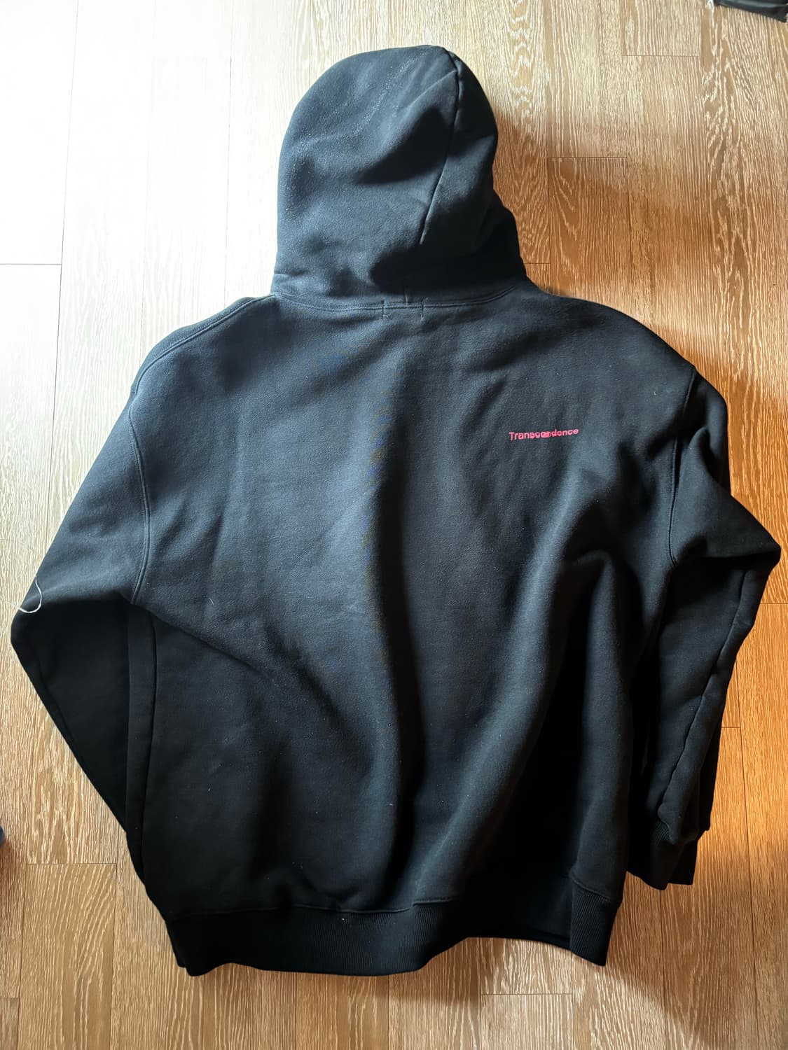 (F)transcedence 후드티 상품이미지3
