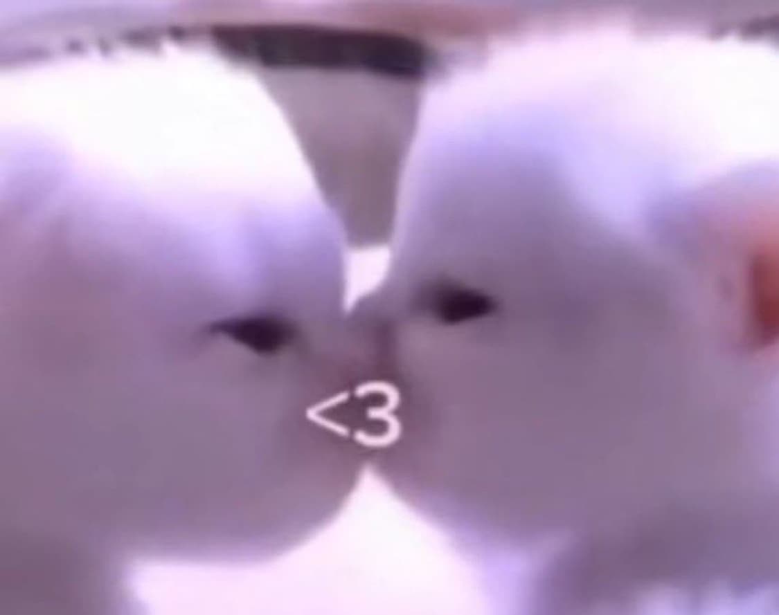 나나바지 상품이미지1