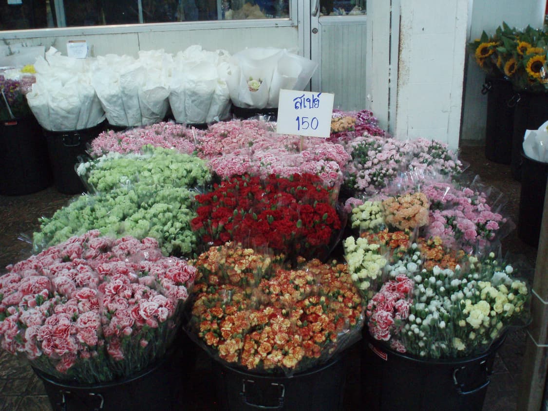 올림푸스 뮤 디지털 600 상품이미지4