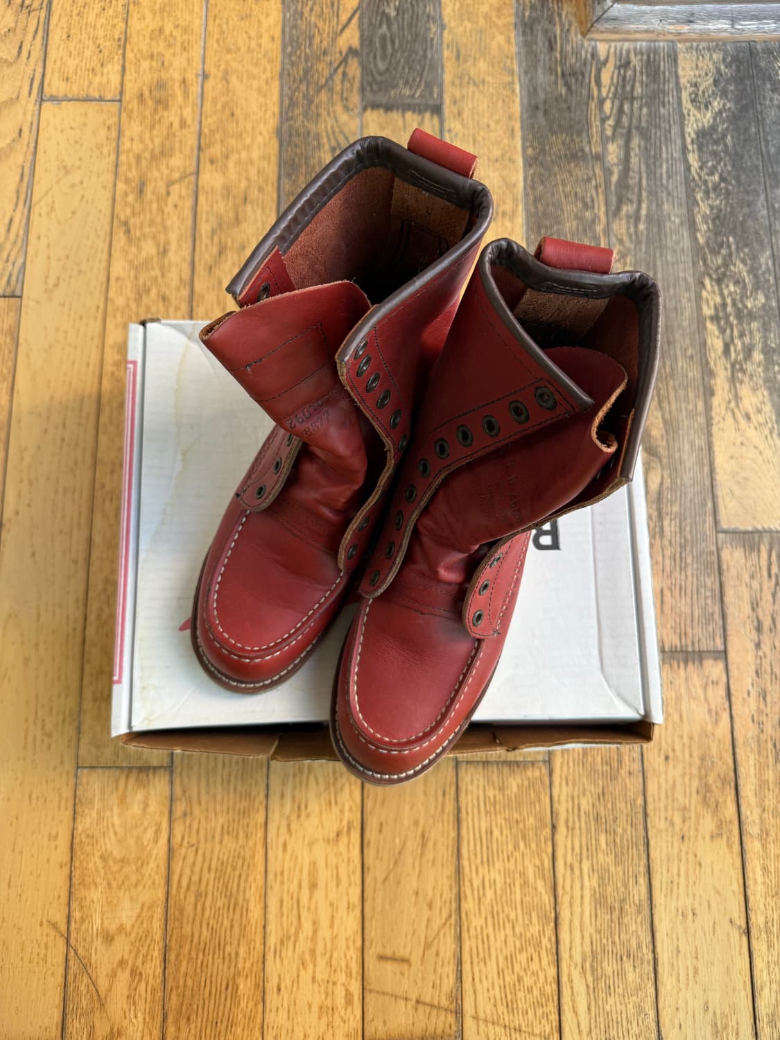 레드윙 아이리쉬세터 상품이미지1