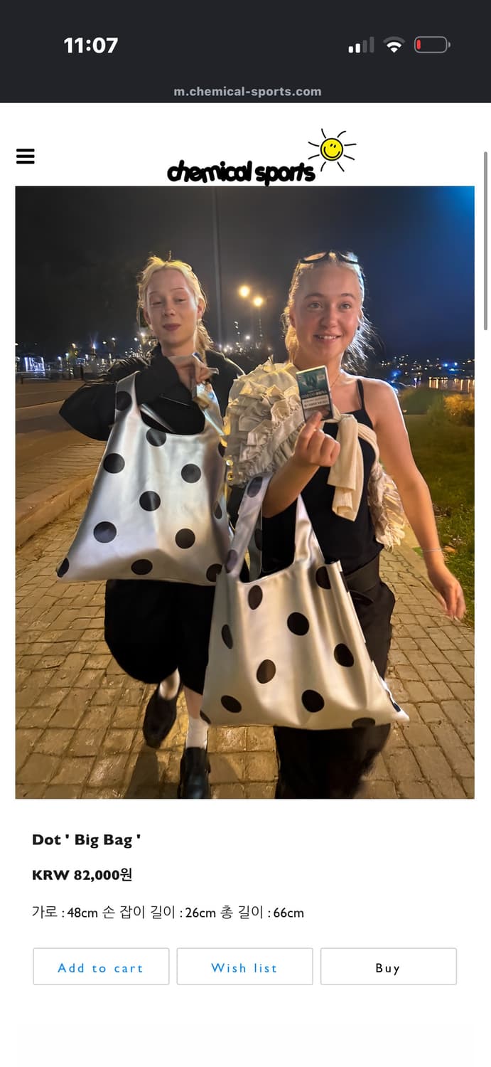 케미컬스포츠 도트백 상품이미지2